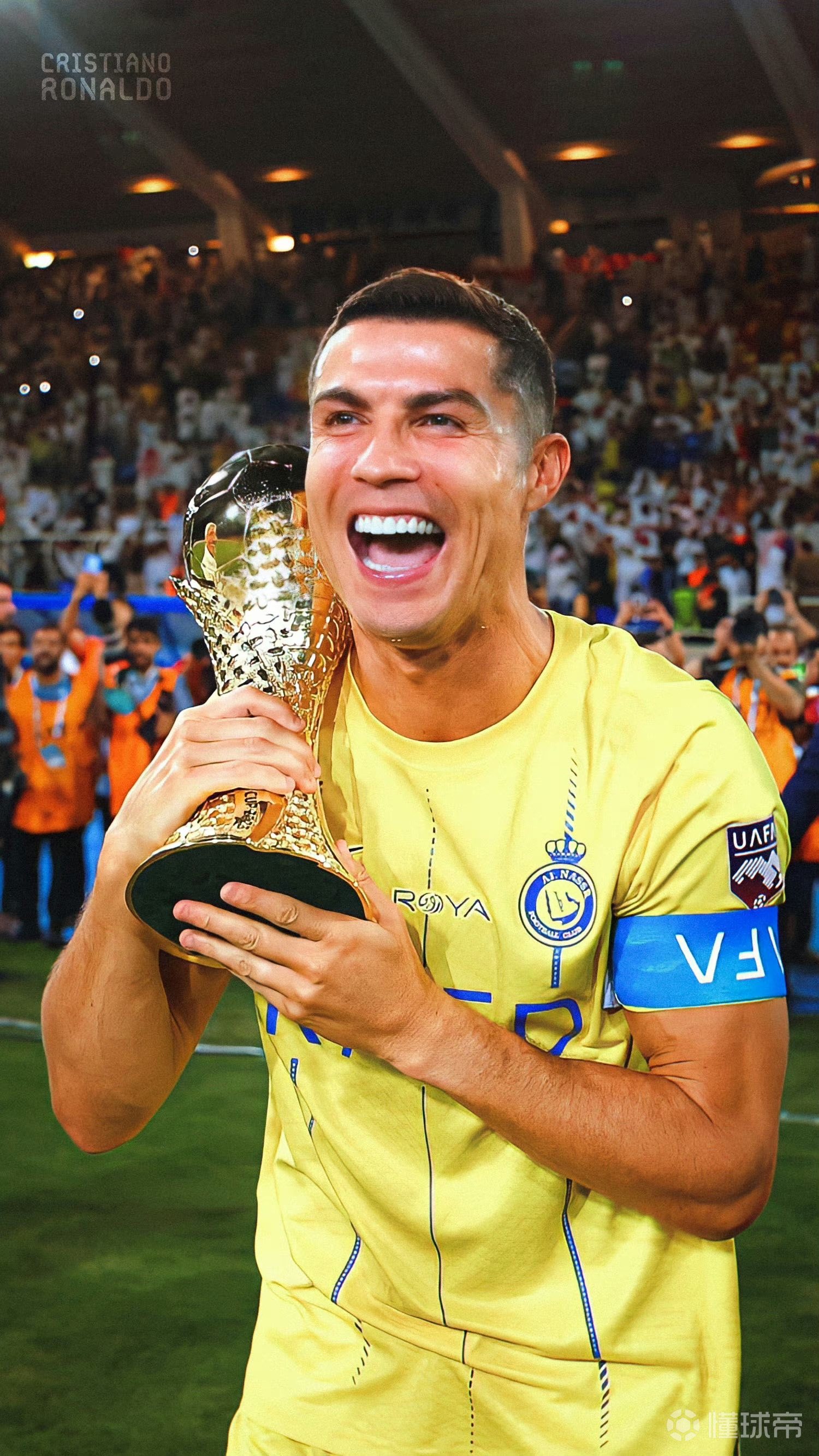 二合一打击 二合一打击